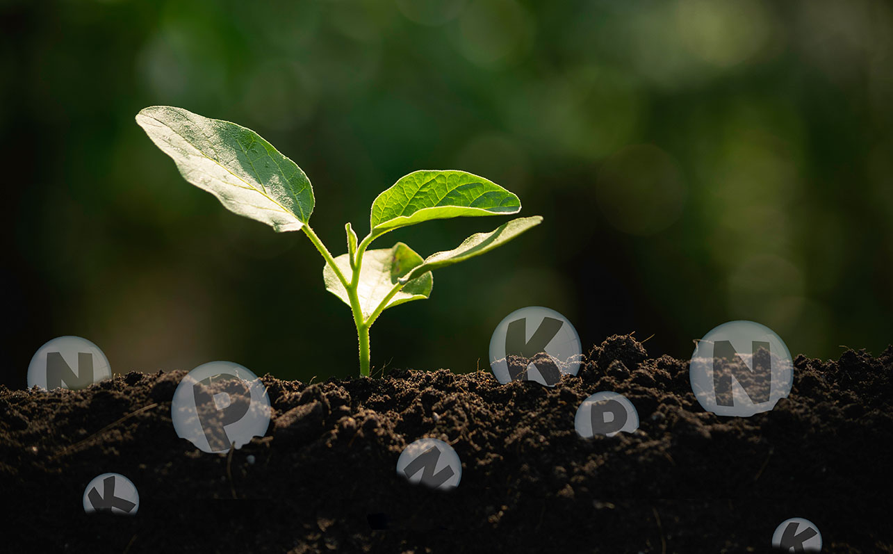 Fertilizers & Nutrients