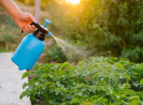 Natural Pesticides